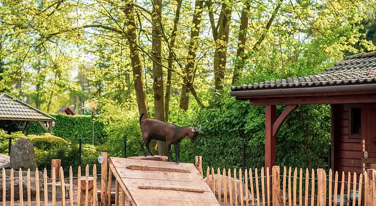 Holiday home in Lochem