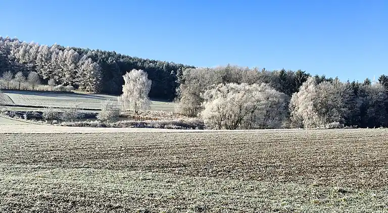 Holiday home in Neunburg