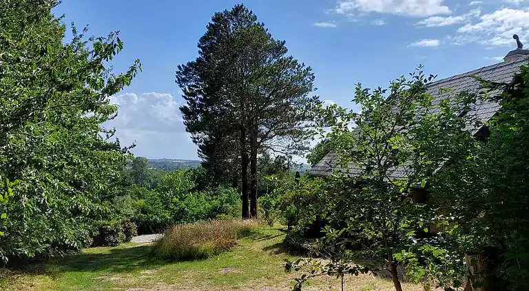 Ferienhaus mit Meerblick im Wald