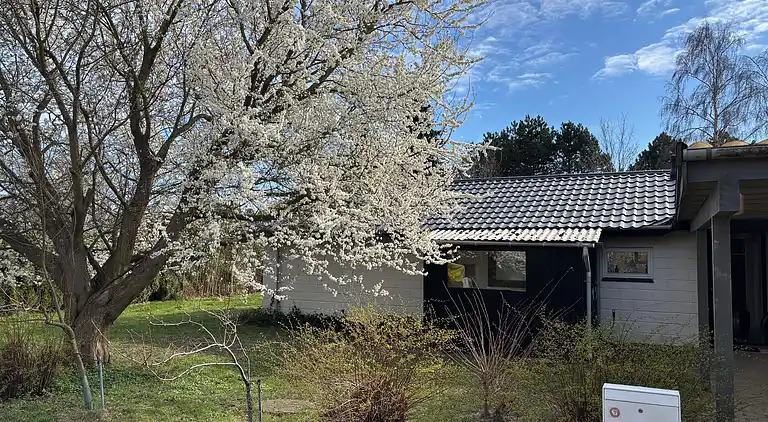 Sommerhus nær vand, skov og Møns Klint