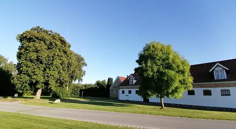 Gut Margretehøj in idyllischer Umgebung