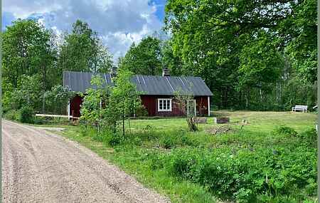 Ødegård i skogen ved stor innsjø