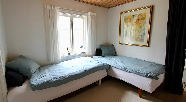 Ødegård i skoven ved større sø