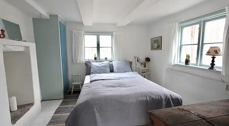 Ødegård i skoven ved større sø