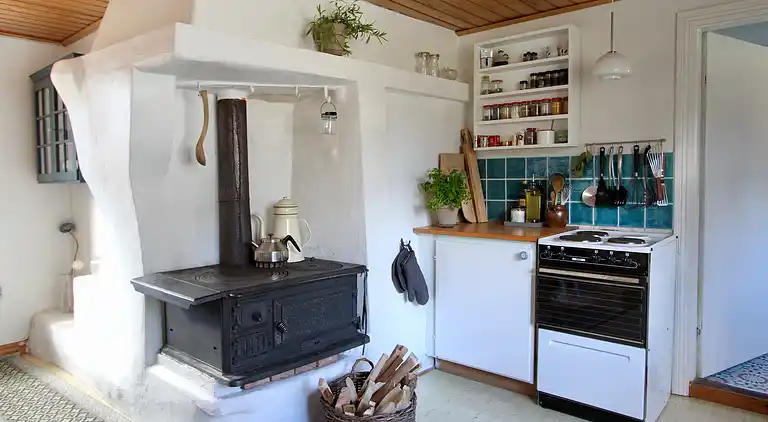 Ødegård i skoven ved større sø