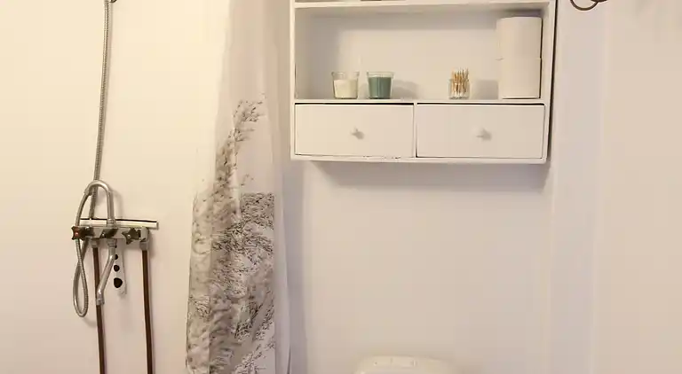 Ødegård i skoven ved større sø