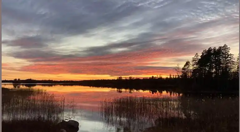 Ødegård i skoven ved større sø