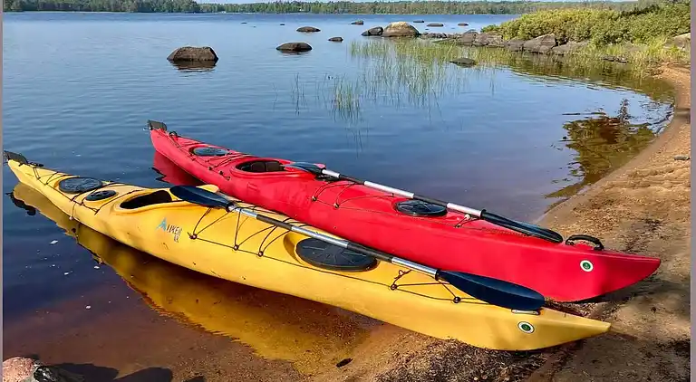 Ødegård i skoven ved større sø