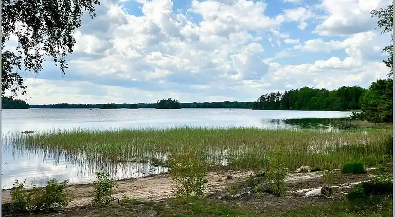 Ødegård i skoven ved større sø