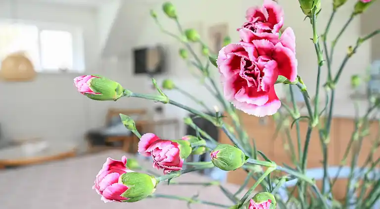 vakantiehuis in Ulfborg