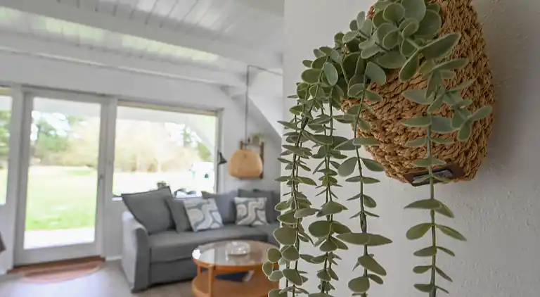 vakantiehuis in Ulfborg