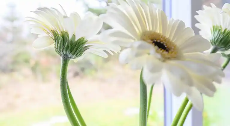 vakantiehuis in Ulfborg