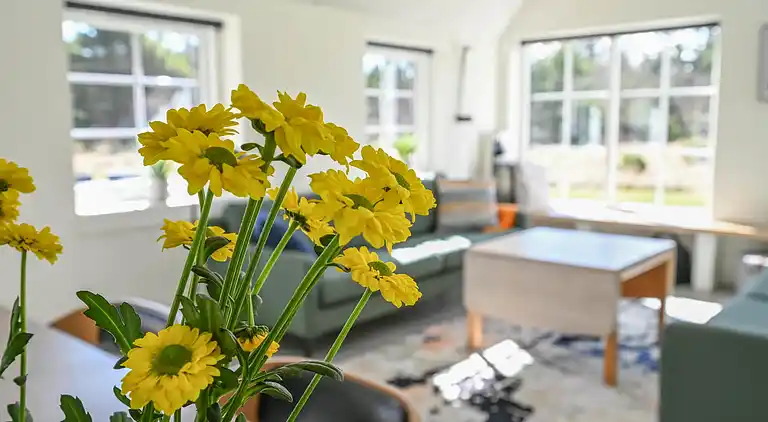 Feriebolig i Ulfborg