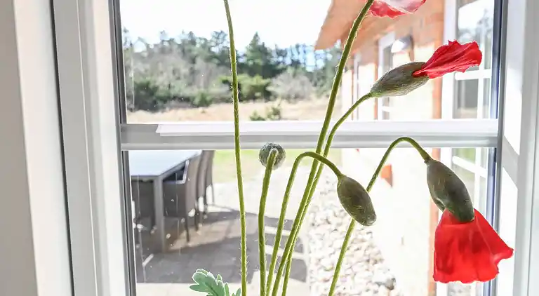 Feriebolig i Ulfborg