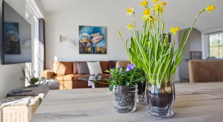 Holiday home in Ulfborg