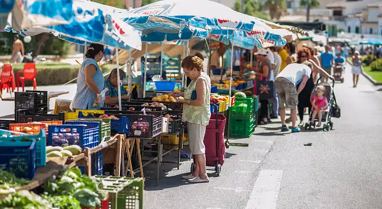 Ferienhaus in Son Baulo