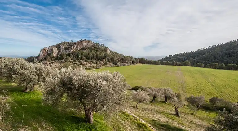 Villa in Mancor de la Vall