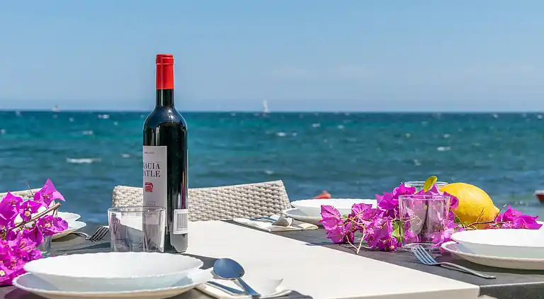 Ferienhaus in Son Servera