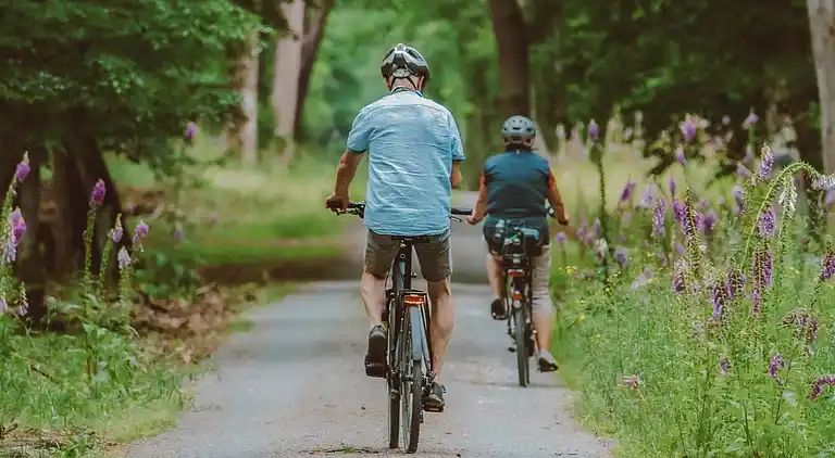 Sommerhus i Voorthuizen