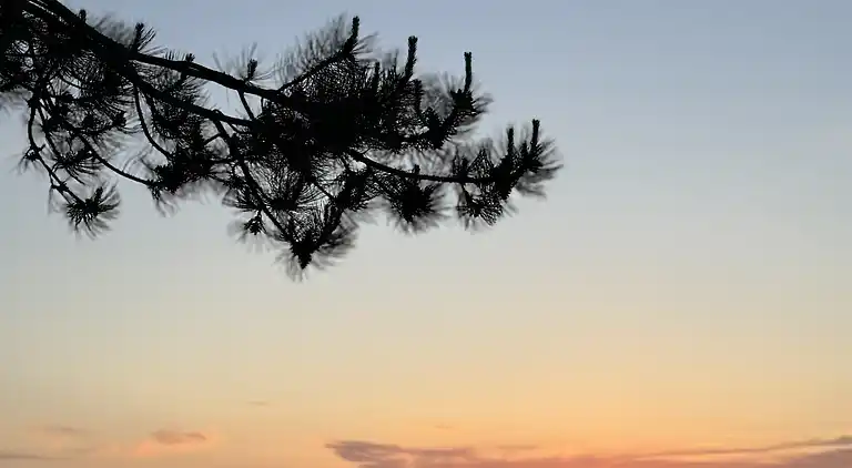 Ferienhaus in Faaborg