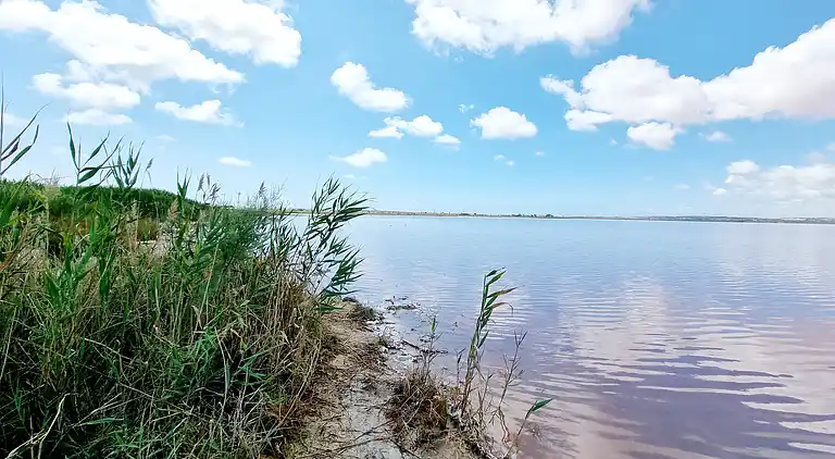 Quesada Holiday Bungalow