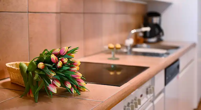 Ruga Haus im Asconasee 3