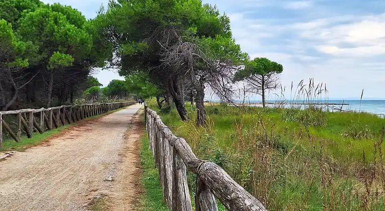 Familienresidenz direkt am Strand mit Pool
