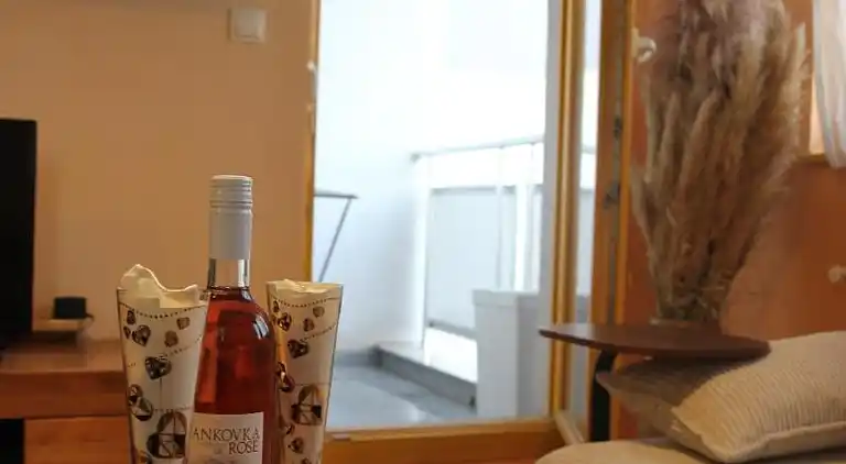 Aniks gemütliche Wohnung mit Netflix, HBO in Zagreb