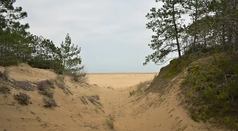 Seaside Bliss Wohnung mit direktem Meerblick