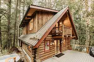 81SL - Hot Tub - WIFI - Pets Ok - Sleeps 4