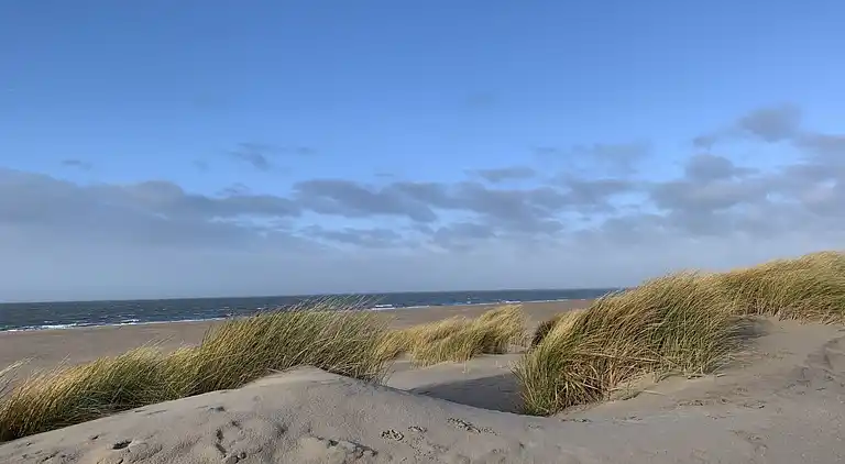 Holiday home in South Holland