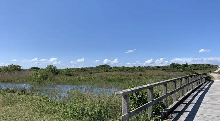 Holiday home in South Holland