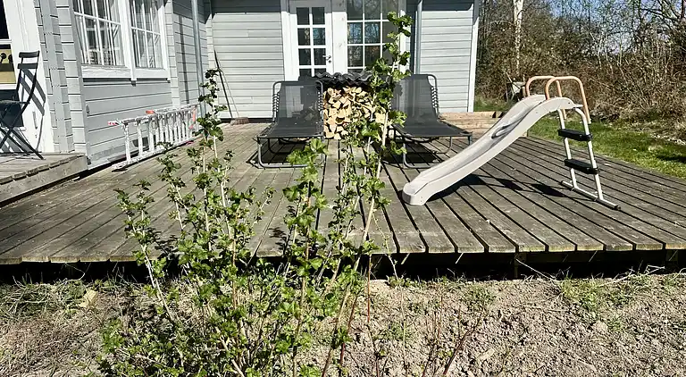 Villa Betula: Naturperle ved Hårbølle Havn