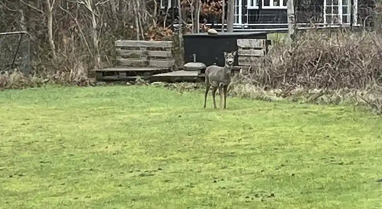  Meerblick in Strandnähe, Schönes Haus