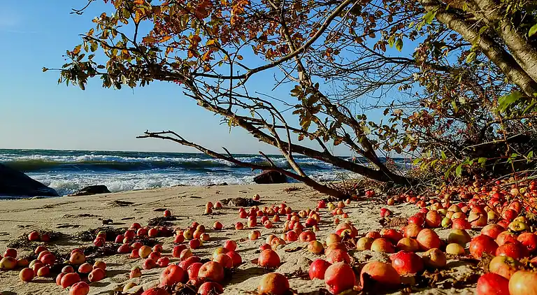 Gemütliches Fischerhaus nahe dem Meer