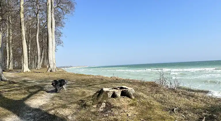 Villa Betula: Naturperle ved Hårbølle Havn