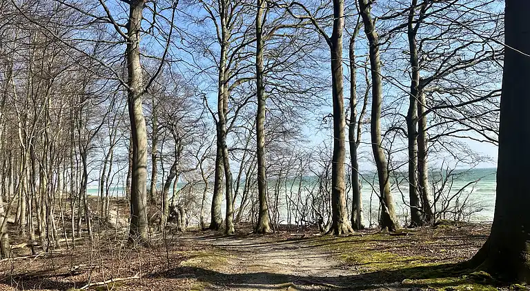 Villa Betula: Naturperle ved Hårbølle Havn