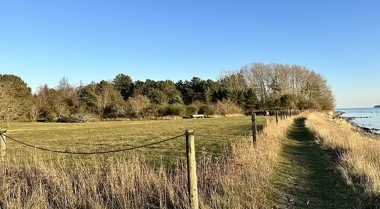 Villa Betula: Naturperle ved Hårbølle Havn