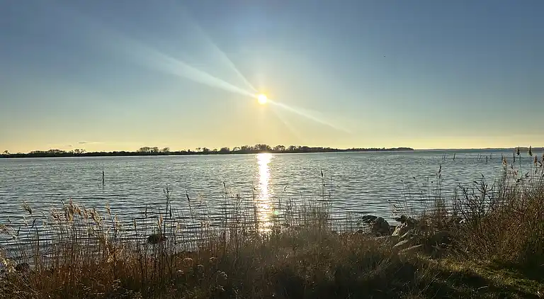 Villa Betula: Naturperle ved Hårbølle Havn