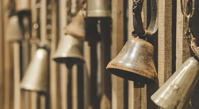 Ferienwohnung in Peisey-Nancroix