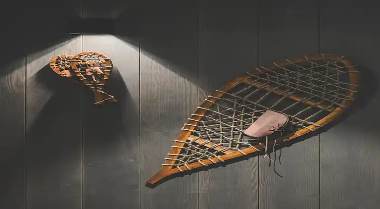 Ferienwohnung in Peisey-Nancroix