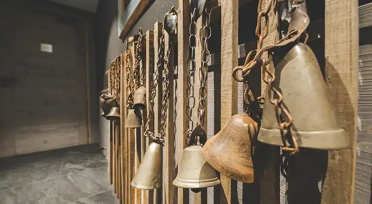 Ferienwohnung in Peisey-Nancroix