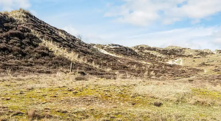 Holiday home on Fanø