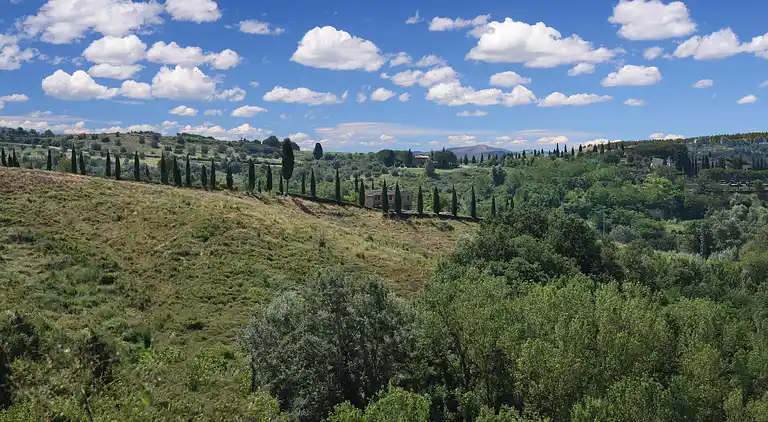 Farm house in Asciano