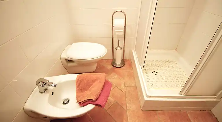 Farm house in Asciano