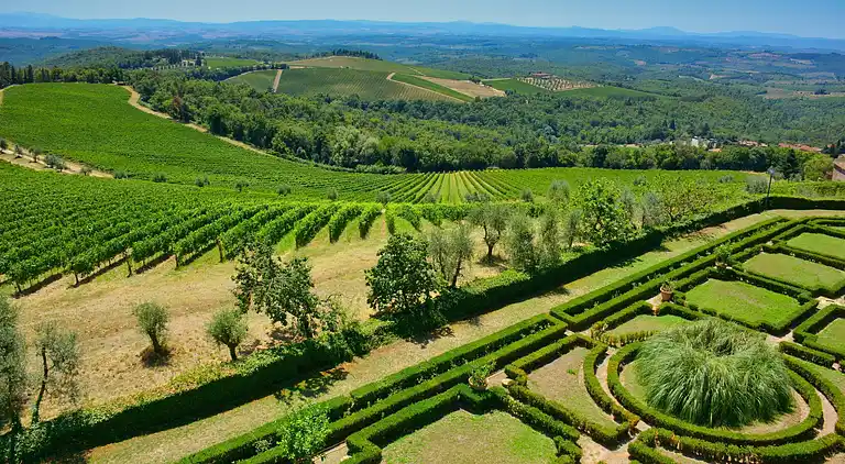 Farm house in Asciano