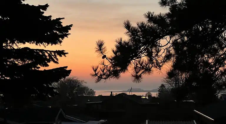Ferienhaus mit Fjordblick in Vellerup