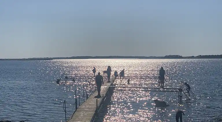 Ferienhaus mit Fjordblick in Vellerup