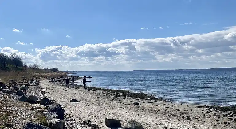 Ferienhaus mit Fjordblick in Vellerup