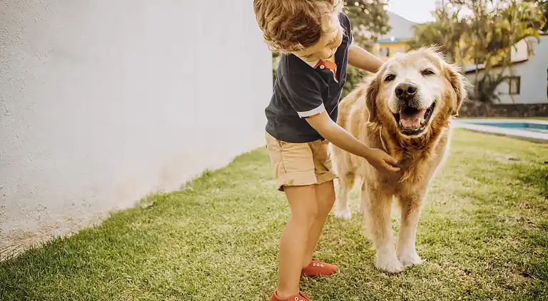 Holiday home in Domburg